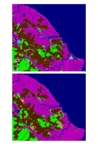 two land cover maps are show. One is derived from high resolution imagery and the other from 30 meter landsat. They look similar.